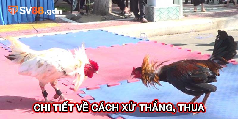 Chi tiết về cách xử thắng, thua