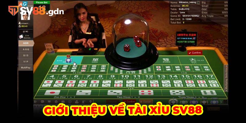 Giới thiệu về tài xỉu SV88