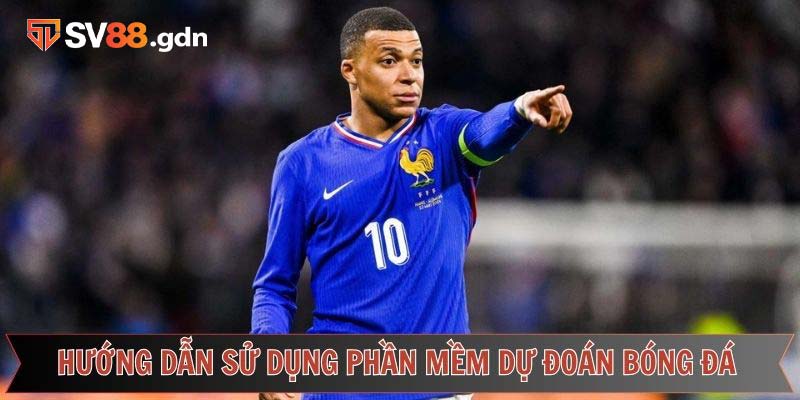Công cụ dự đoán bóng đá hữu ích ở sân chơi