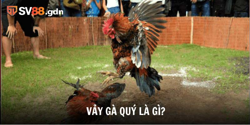 Cùng SV88 khám phá vảy gà quý là gì?